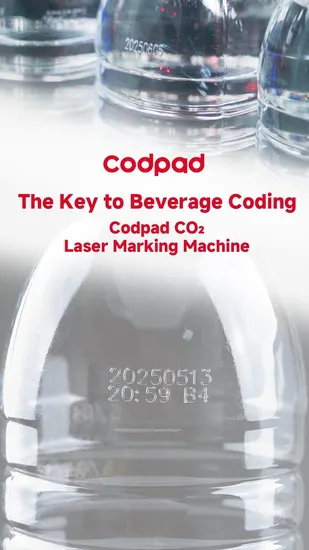 High Speed 60W Air/Water Cooling Integrated Laser Marking Machine Manufacturer Docod CO2 Engraving Date Coding Laser Engraver Printer 